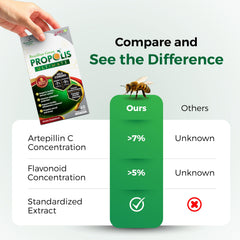 LABO Nutrition green propolis ingredients close-up emphasizing natural bee-derived compounds.