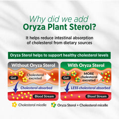 Packaging emphasizes Japan-sourced oryza sterol phytosterols for premium lipid-support ingredients.
