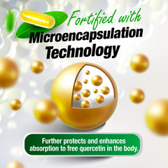 LABO Nutrition quercetin and bioflavonoids with vitamin C for antioxidant protection