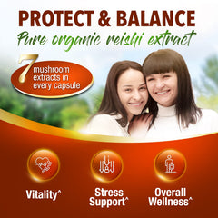 LABO Nutrition Lingzhi Reishi Ultra daily-use setup suggests simple routines for consistent supplementation.
