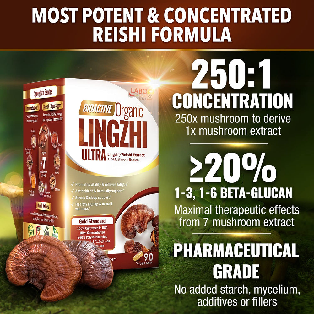 LABO Nutrition Lingzhi Reishi Ultra label closeup showing clean organic ingredients.