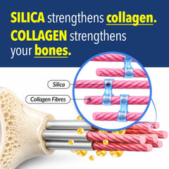 LABO Nutrition Bioactive Silica on clean countertop as part of a routine.