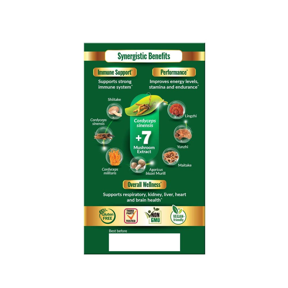 LABO Nutrition Cordyceps Ultra capsules in hand suggest convenient daily supplementation.