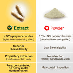LABO Nutrition Cordyceps Ultra label view emphasizes organic certification.