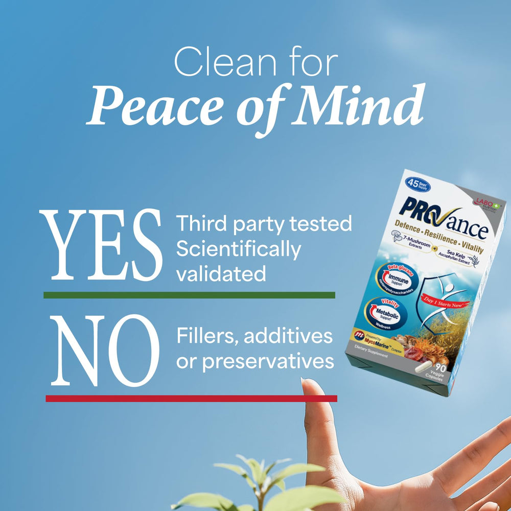 LABO Nutrition Provance energy scene suggesting sustainable daily activity and zest.