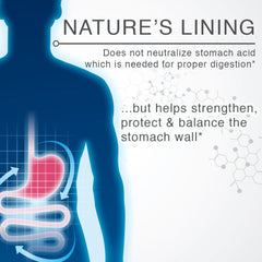 Lane Innovative Nature's Lining ingredients label notes potency and purity.
