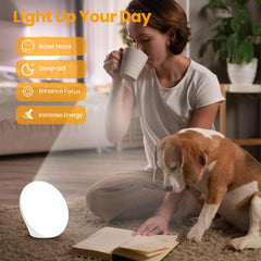 LASTAR Sun Lamp on a tidy desk setup for bright work