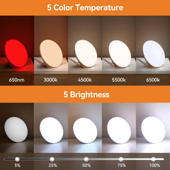 LASTAR Sun Lamp timer function enables flexible, auto-off lighting schedules