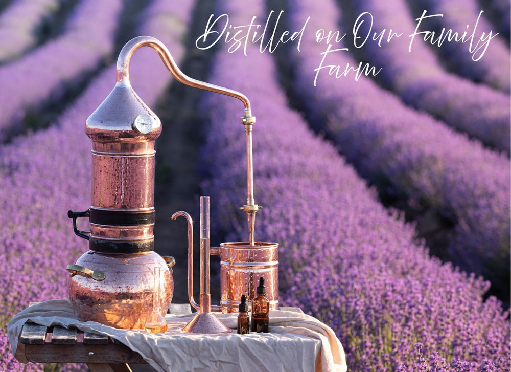 Lavender Lane multi-use hydrosol spray for streak-free surfaces.
