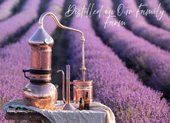 Lavender Lane multi-use hydrosol spray for streak-free surfaces.