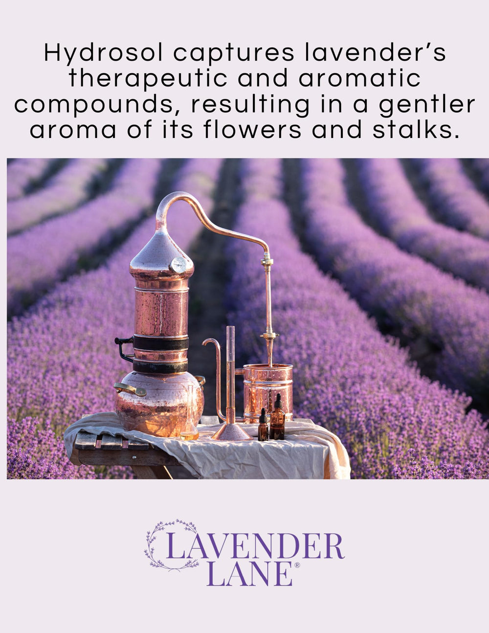 Lavender Lane hydrosol bottle for gentle facial toning and hydration.
