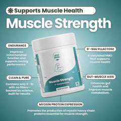 Packaging closeup of Layer Origin 6'-SL HMO emphasizing purity for muscle health.