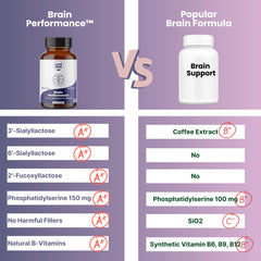 Layer Origin Brain Performance close-up shows HMO prebiotics supporting gut-brain health.