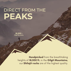 LeafTouch Shilajit resin from the Himalayas at 17,000 feet.