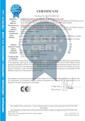 Leawell 1-year warranty card highlights service support.