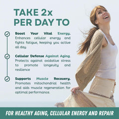 LebenKraft NAD Supplement workout session image shows sustained energy.