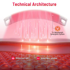 Ledino dual-wavelength 660nm and 850nm lights for skin and recovery.
