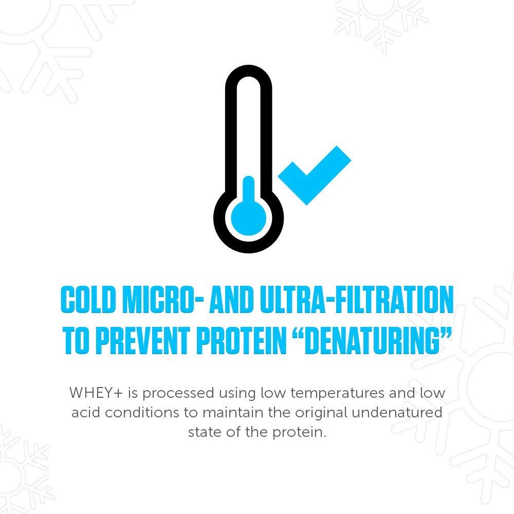 LEGION Whey+ no added sugars panel communicates a clean sweetness option.