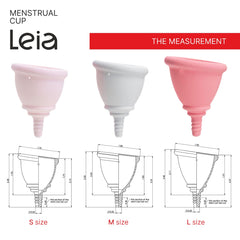 Leia metal carrying case stores safely for travel and school.