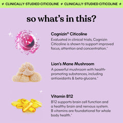 Lemme Focus packaging label highlights Cognizin and Lion’s Mane ingredients.