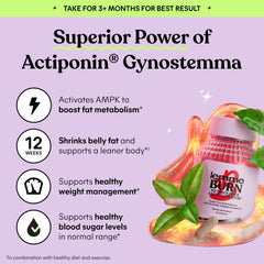 Lemme Vitamin B6 and methyl B12 capsules symbolize daily energy metabolism support.