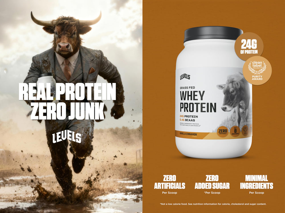 Levels Grass-Fed Whey Vanilla Cinnamon pour reveals a smooth shake.