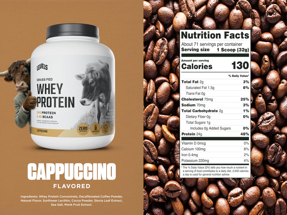 Levels Whey No Artificial Flavors label signals clean ingredients.