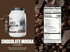 Levels Whey Protein Chocolate Mocha shaker blends smooth shakes