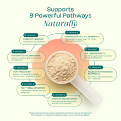 LevelUp GLP Superfood prebiotic fiber scoop supports steady digestion.