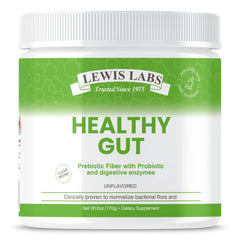Lewis Labs Healthy Gut bottle showing probiotic fiber blend for digestion and absorption
