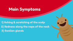 Lice Sisters on-contact action showing immediate lice treatment effect