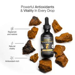 Life Cykel Mongolia Warrior Pack chaga extract closeup highlights antioxidant-rich liquid.