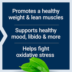 Life Extension DHEA ingredients include green tea, resveratrol, and Curcumin Elite Turmeric.