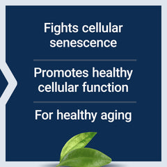 NAC and vitamin E capsules shown together for cellular health support.