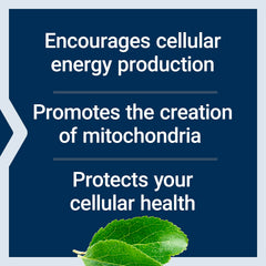 Mitochondrial Energy Optimizer label emphasizing PQQ and non-GMO badge