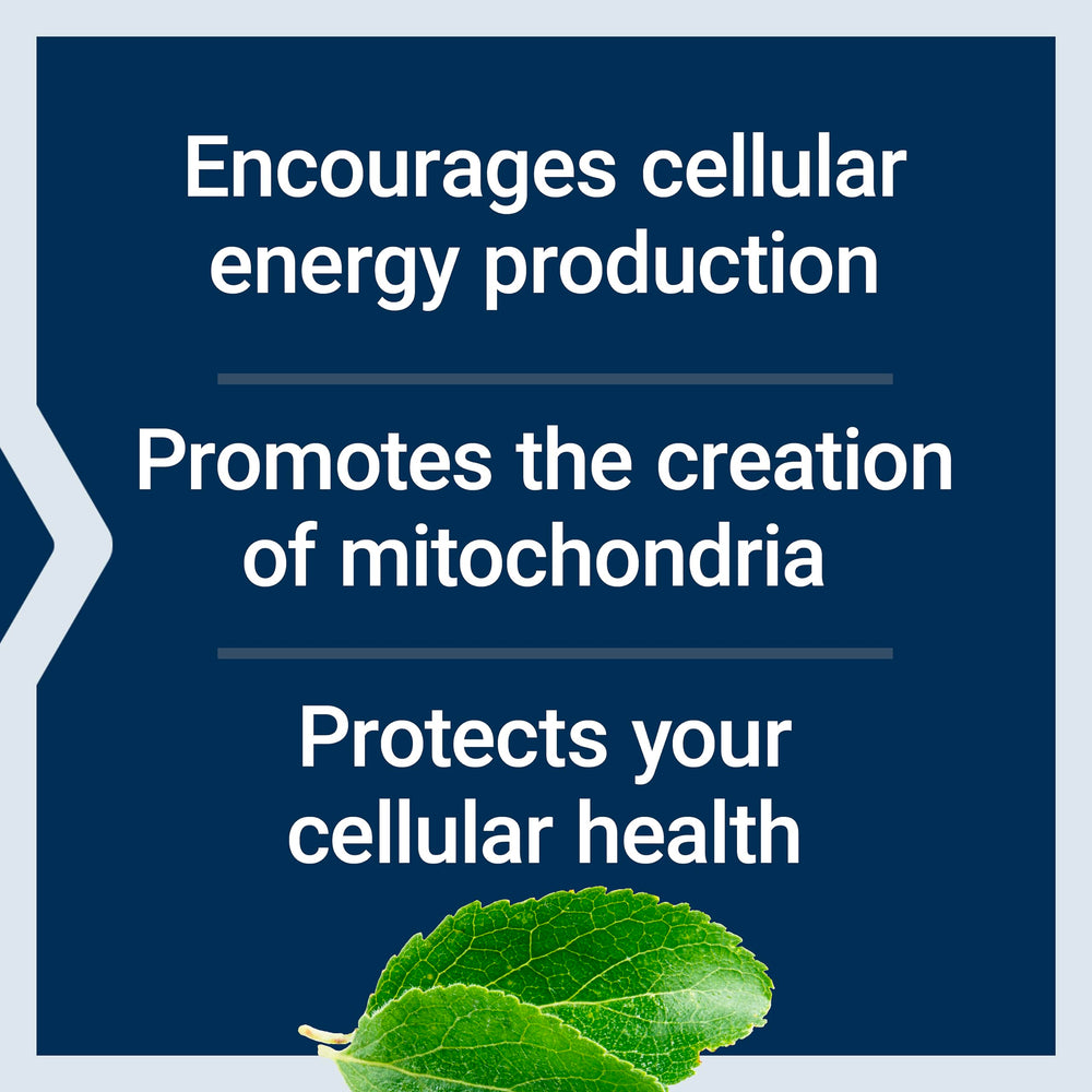 Life Extension Ro-Lipoic Acid capsule closeup highlighting antioxidant support