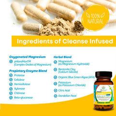 Life Infused Cleanse Infused Plus enzyme blend label for digestive support