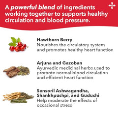 Ashwagandha root in LifeSeasons Stabili-T highlights stress response support.