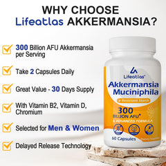 Lifeatlas Akkermansia daily-use scene with a 120-cap bottle for convenience