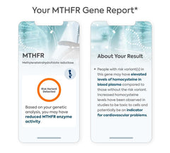 LifeDNA privacy seal indicating data remains with you.