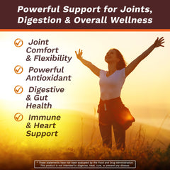 Life's Fortune curcumin-ginger-black-pepper capsules close-up showing immune and digestion support.