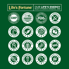 Life's Energy bottle featuring a USA-made badge