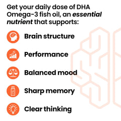 LifeSeasons NeuroQ Memory DHA-400 bottle front view shows premium packaging.