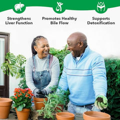LifeSeasons Puri-T capsules closeup highlighting natural detox blend.