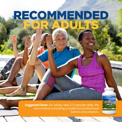 LifeSource 14-ingredient blend spread showcases comprehensive wellness support.