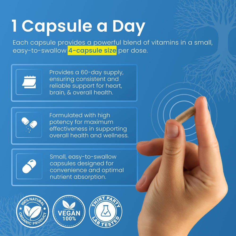 LifeStrength vegan capsules easy to swallow for daily use