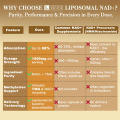 LIGUSTERI NAD+ and TMG label close-up for informed daily supplement choices