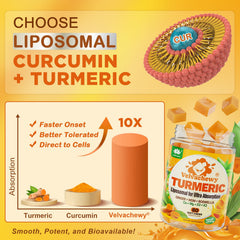 LILICARE Liposomal Turmeric Chews open bottle demonstrates easy-dispense design.