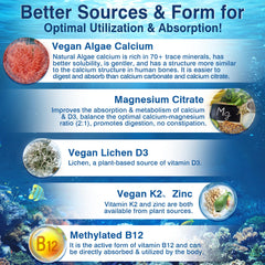 LILICARE magnesium citrate depiction shows mineral balance aiding absorption
