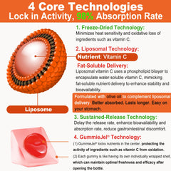 Orange-flavored, sugar-free gummies for daily vitamin C intake